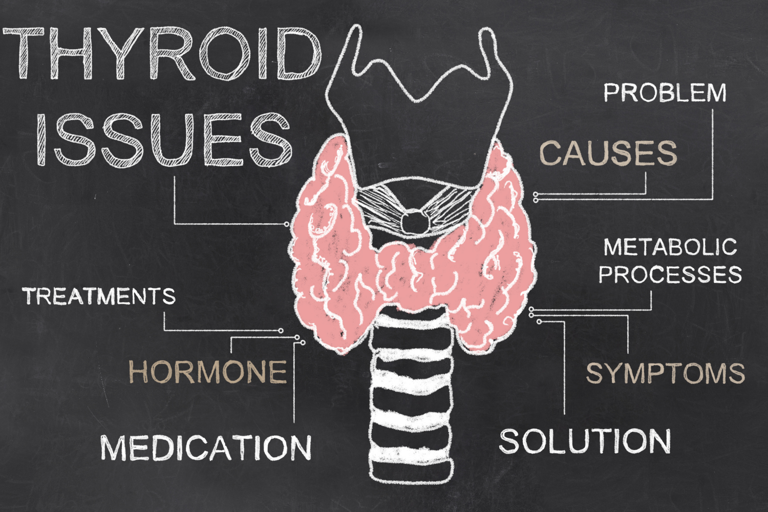 Thyroid Disorders and Weight Management: Hypothyroidism & Hyperthyroidism